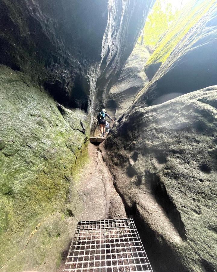 Bergblick Apartment SäChsische Schweiz Sebnitz Exteriör bild